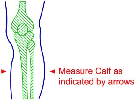 CALF SLEEVE SUPPORT - BREATHABLE - £15.95 - Sizes available S, M, L & XL - Fit Right or Left Leg